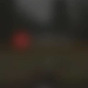 Meet your Posher, Shawn